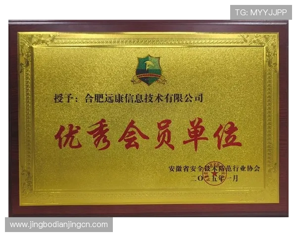 如何安全高效完成OG体育会员登录步骤确保账号信息安全与个人隐私保护的实用技巧