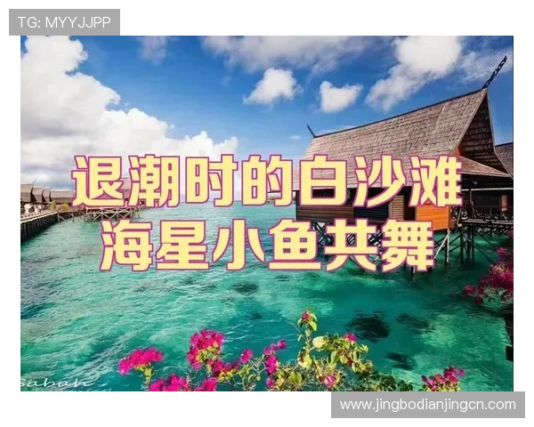 海星体育官网平台多平台兼容性与操作指南帮助不同设备用户顺畅体验游戏