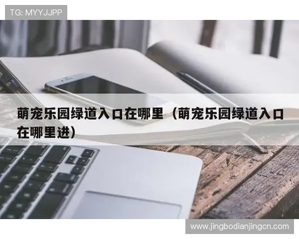 如何通过u球官网入口快速进入游戏，详细步骤与常见问题解答指南