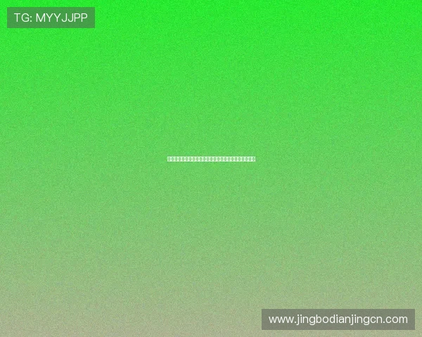 比利时埃及世界杯比赛球队阵容分析与关键球员表现预测 比利时埃及世界杯比赛球队阵容分析与关键球员表现预测